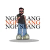 About NGP SLANG (feat. Lil48) Song